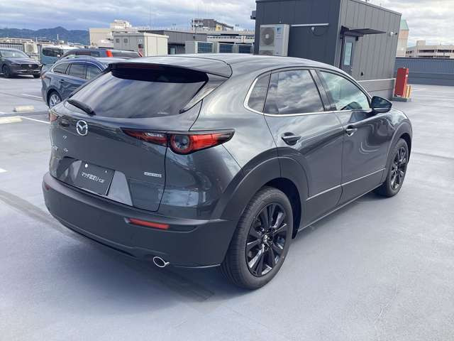 CX-301.8 XD ドライブ エディション