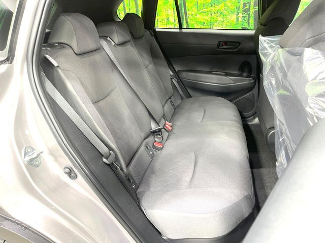 �㕔���Ȃ��C�ɂȂ�悤�ȃL�Y�E�����ւ��蓙�A�傫�ȃ_���[�W�͂Ȃ��A�ǍD�ȏ�Ԃł��B