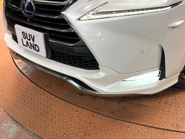 NX300h バージョンL