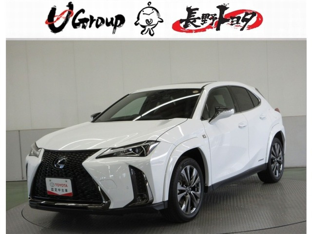 UX250h Fスポーツ