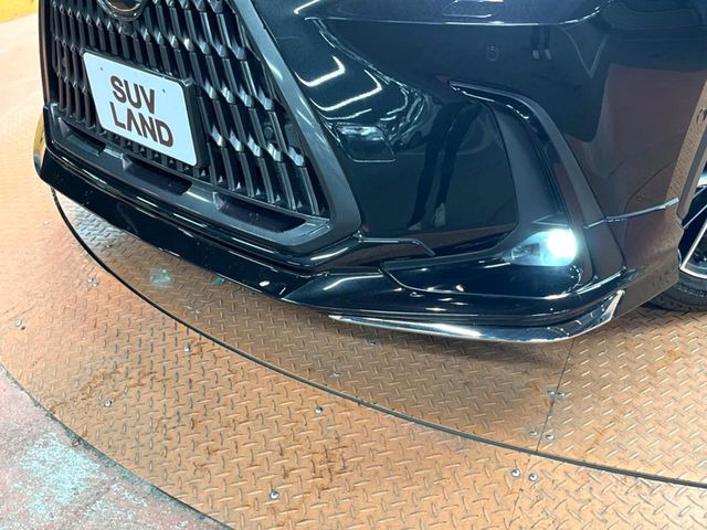 NX350h バージョンL