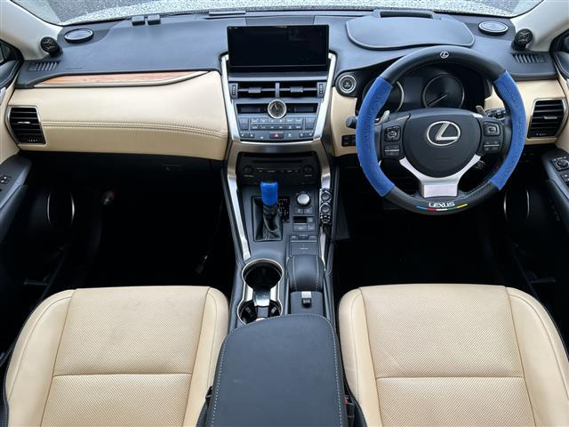 NX300h バージョンL