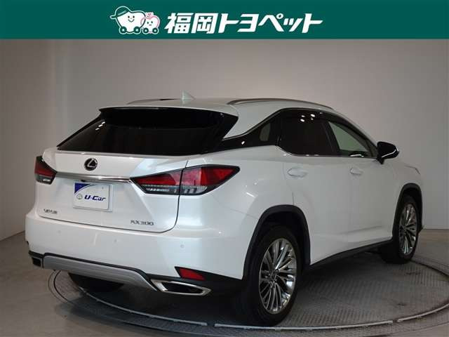 RX300 バージョンL