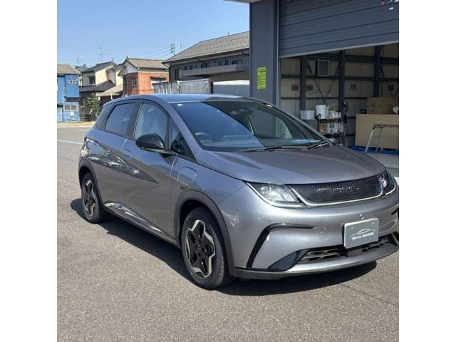 ドルフィンベースライン