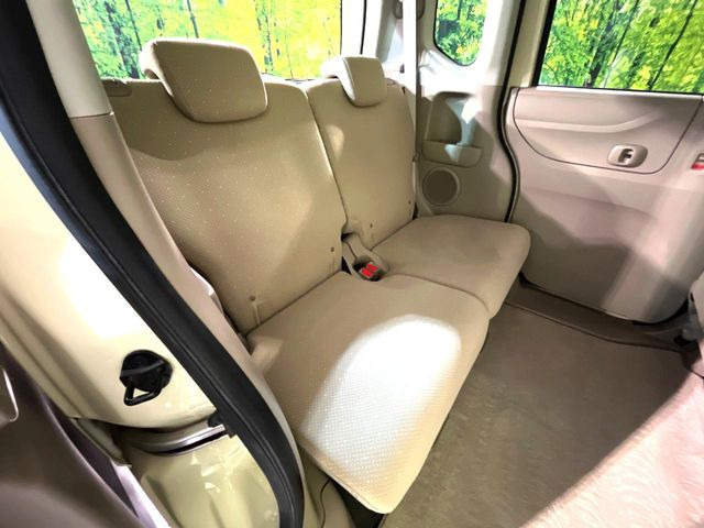 �㕔���Ȃ��C�ɂȂ�悤�ȃL�Y�E�����ւ��蓙�A�傫�ȃ_���[�W�͂Ȃ��A�ǍD�ȏ�Ԃł��B