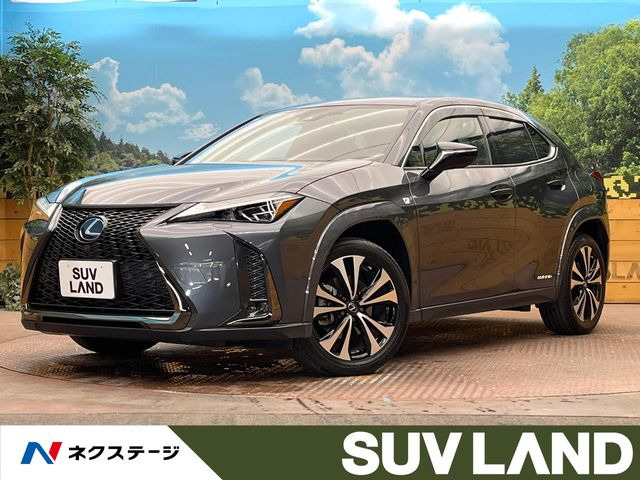 UX250h Fスポーツ スタイル ブルー