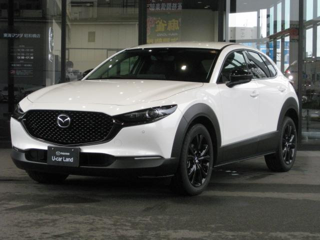 CX-301.8 XD ドライブ エディション