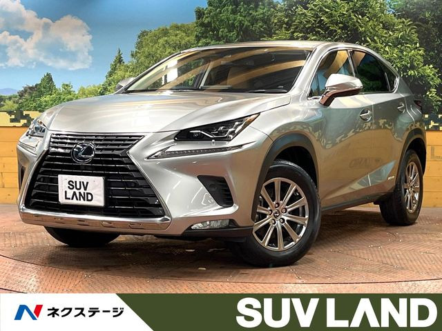 NX300h Iパッケージ