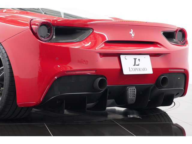 488GTB��DNA���Ïk���ꂽ���A�r���[�B����o�������A�t�F���_�[�ƃN���b�h�G�L�]�[�X�g���͋��������o���A�w�ォ�甗�邾���Ŏ��͂̎�����Ɛ肷�锗�͂�����܂��B