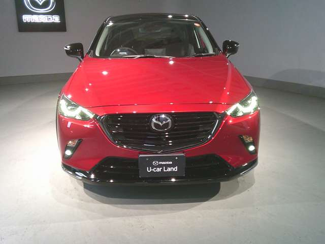 CX-31.8 XD ビビッド モノトーン