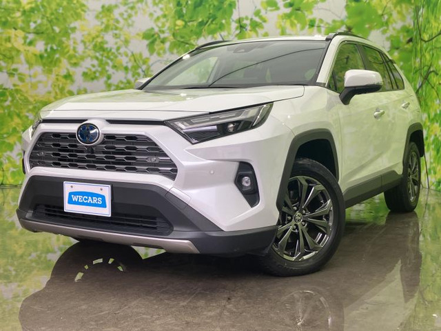 RAV42.5 ハイブリッド G E-Four 4WD