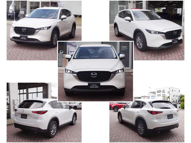 CX-52.2 XD i セレクション  4WD