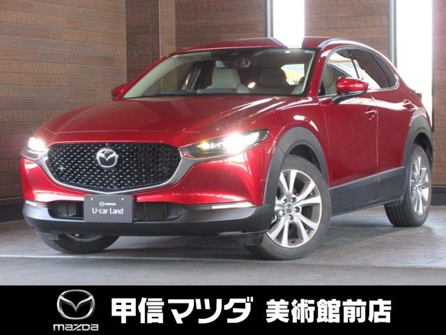 CX-302.0 20S プロアクティブ