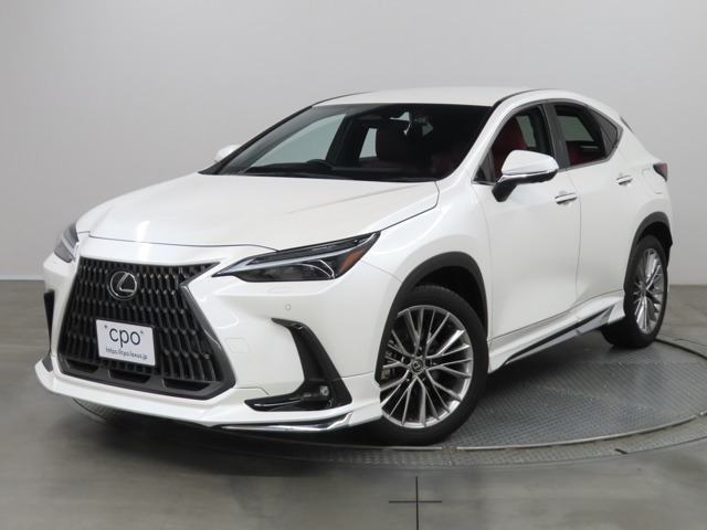 NX250 バージョンL