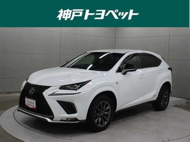 NX300h アーバンスタイル