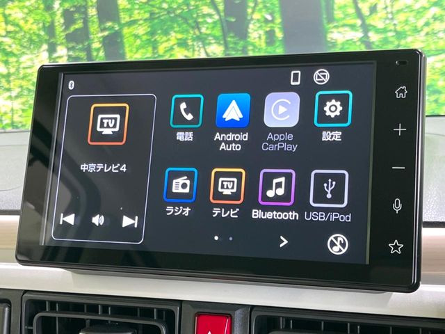 ムーヴキャンバスストライプス G