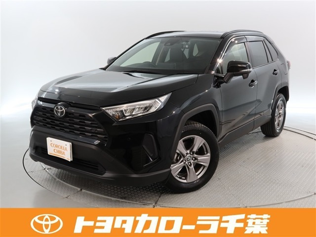 RAV42.0 X