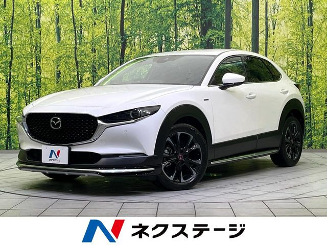 CX-302.0 20S 100周年特別記念車