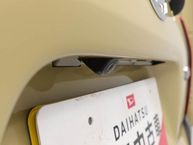 タントファンクロス