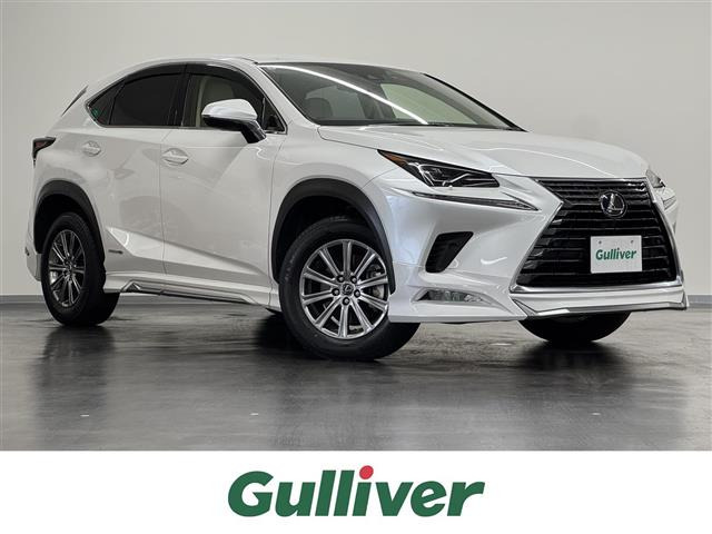 NX300h Iパッケージ