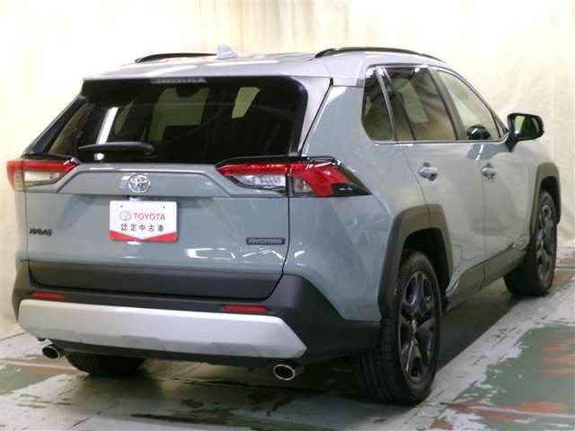 RAV42.0 アドベンチャー 4WD