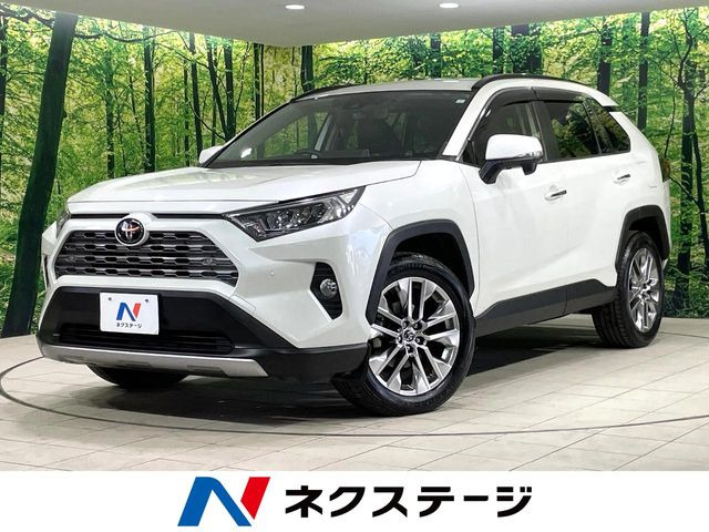 RAV42.0 G Zパッケージ 4WD