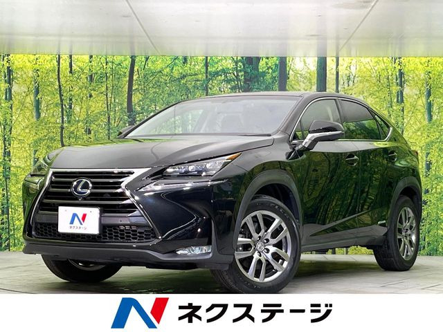 NX300h Iパッケージ