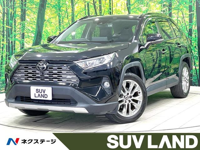 RAV42.0 G Zパッケージ 4WD