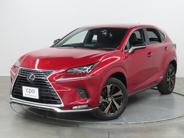 NX300h スパイス&amp;シック 4WD