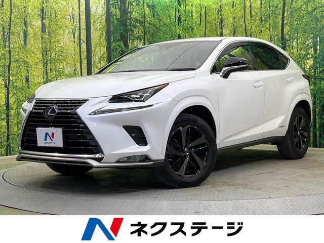 NX300h スパイス&amp;シック