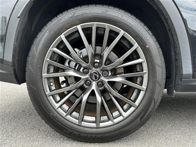 RX300 Fスポーツ