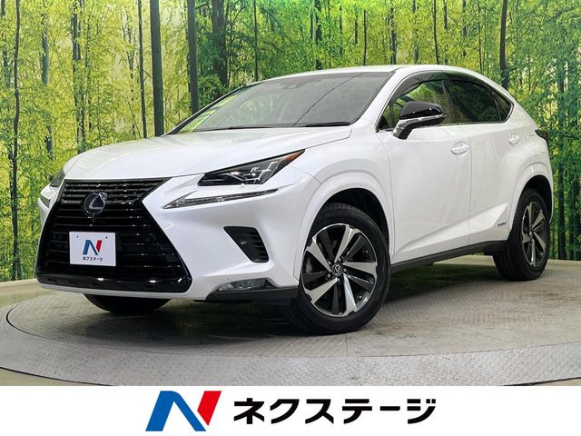 NX300h ブラック シークエンス