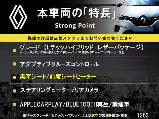 ルーテシアイーテック ハイブリッド レザーパック