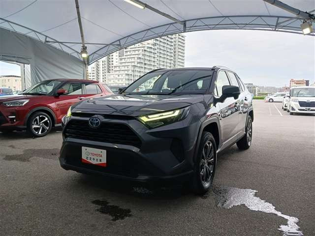 RAV42.5 ハイブリッド X
