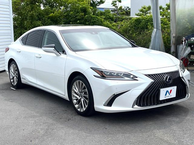 �������x�̃K���X�疌�ŝ����͂������A�㎿�ȃc���E����������B���O����_���J�����؂Ȉ��Ԃ�ی삵�A�F�����E�򉻂�h�~�B�u�e�X�v���b�V���R�[�g�v�A�u�e�v���~�b�T�R�[�g�v���炨�I�т��������܂��B