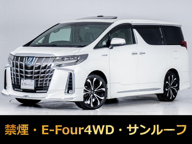 �A���t�@�[�h�i�g���^�j�n�C�u���b�h 2.5 �G�O�[�N�e�B�u ���E���W S E-Four 4WD�@�T�����[�t ���f���X�^ ���Îԉ摜