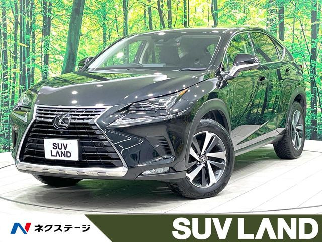 NX200t Iパッケージ