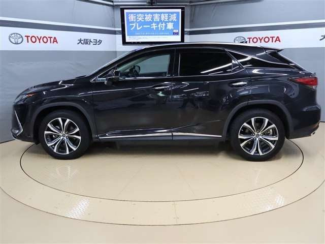 RX300 バージョンL
