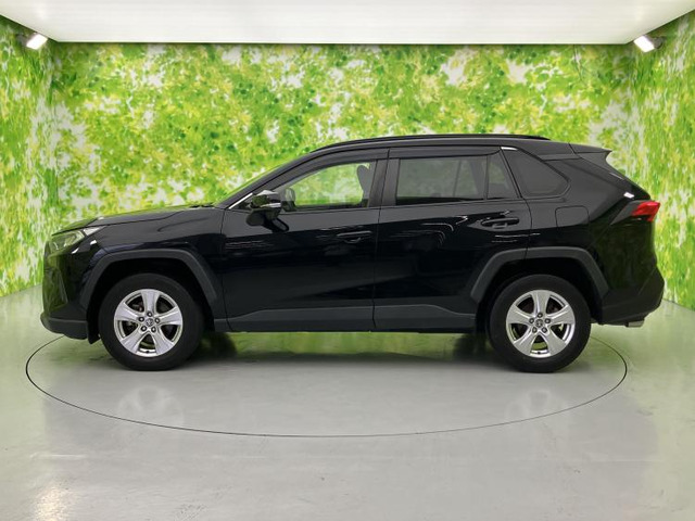 RAV42.0 X