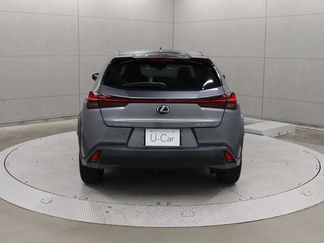 UX250h バージョンC