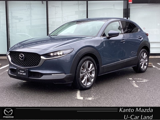 CX-302.0 20S プロアクティブ