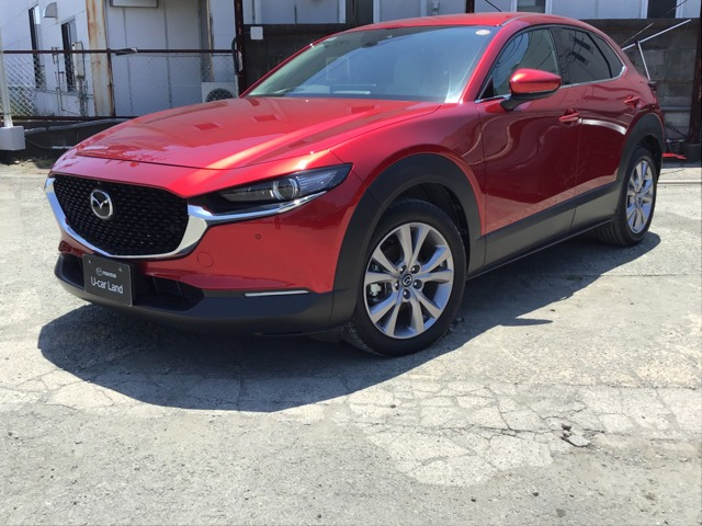 CX-302.0 20S