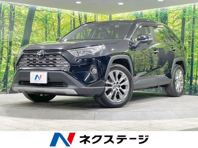 RAV42.0 G Zパッケージ 4WD