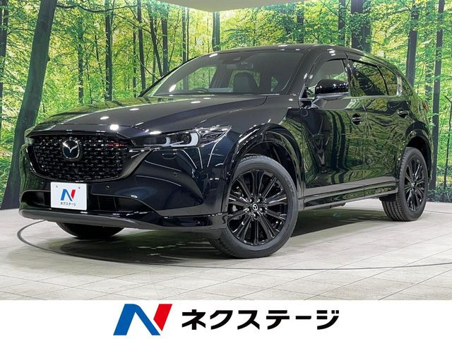 CX-5�i�}�c�_�j2.2 XD �X�|�[�c�A�s�A�����X ���Îԉ摜