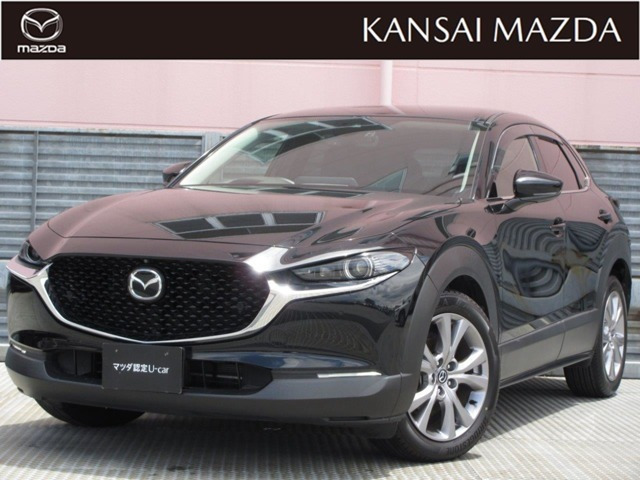 CX-301.8 XD Lパッケージ