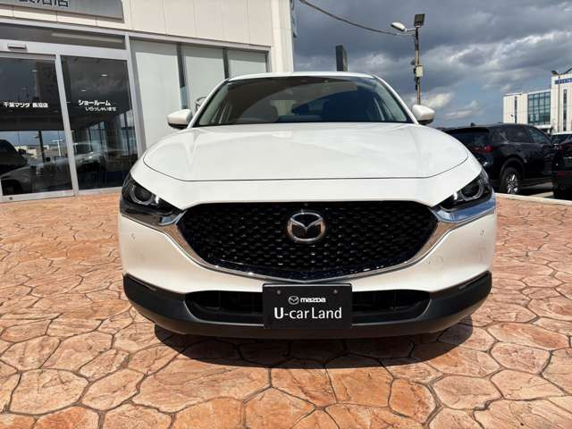 CX-302.0 20S プロアクティブ ツーリングセレクション