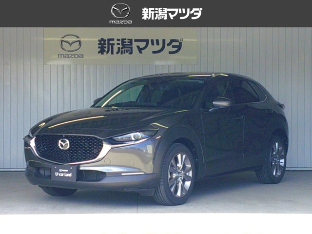 CX-302.0 20S プロアクティブ ツーリングセレクション