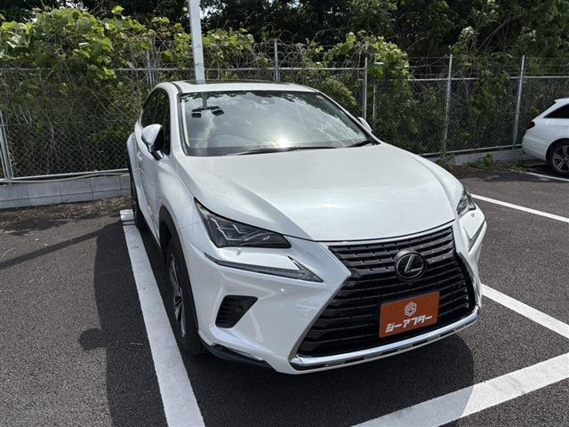 NX300 Iパッケージ