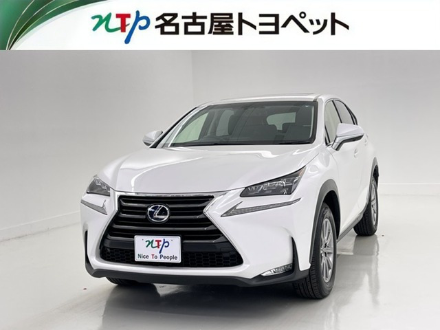 NX300h Iパッケージ