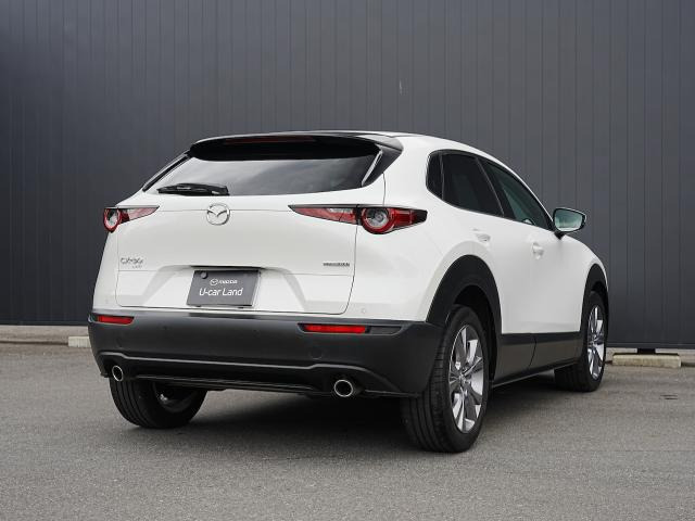 CX-301.8 XD プロアクティブ ツーリングセレクション 4WD